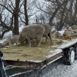 Meet your Posher, Rella